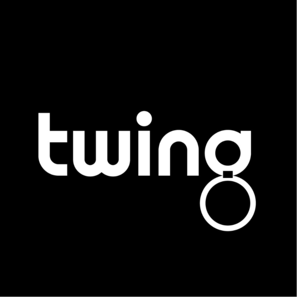 Twing Group AG