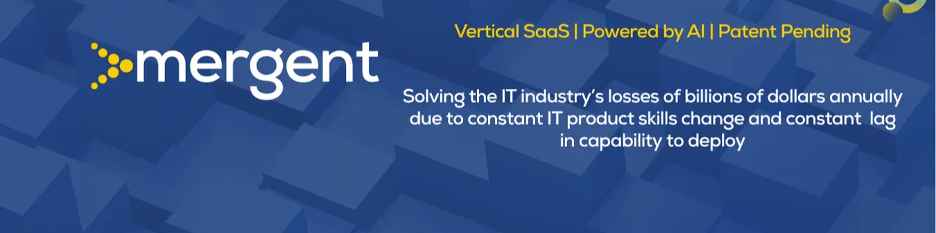 Vertical B2B SaaS - IT